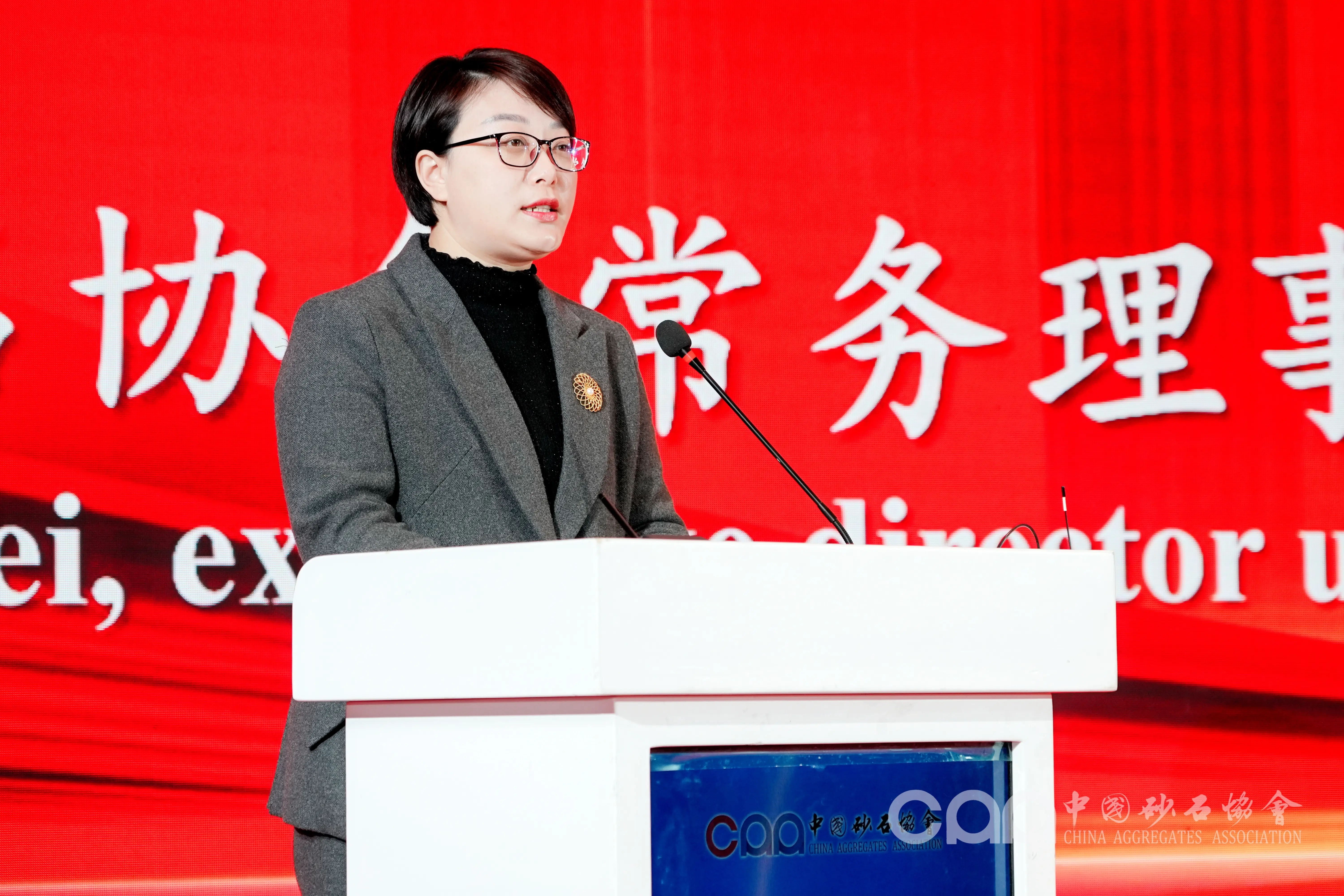 董洛玮总裁进行大会致辞